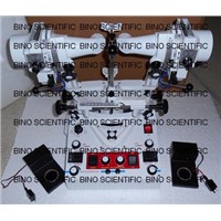 SYNOPTOPHORE
