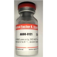 Activated Factor X