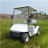 2 Seats Golf Cart Powered by Gas From Zhejiang China for Sale