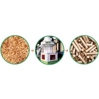 Small Pellet Mill/Hot Sale Pellet Mill/35Pellet Machine