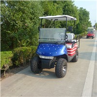 Gas Golf Cart  For Sale