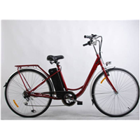 250W Lithium bicycle with CE