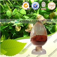 china manufacturer icariin powder epimedium extract