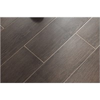 Wood Look Tile Floors  T8806