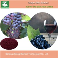 Grape Skin Extract 5% Resveratrol