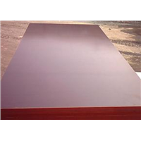 18mm concrete formwork film faced plywood with good price