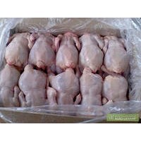 Grade A Frozen Chicken Feet, Paws, Breast, Whole Chicken, Legs and Wings