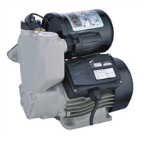 Jlm Auto Self-Priming Pump for with Overload Protection