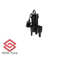 Water Pump with Trther Float Switch for Clean Water