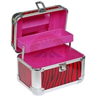 wholesales aluminum cosmetic beauty kit case/Vanity Case (HB-3203)