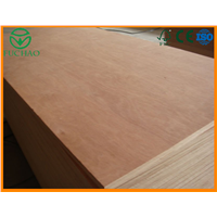 Okoume/Bintangor/Pine/Birch/Poplar/Sapele/Meranti/Pencil Cedar wood faced Veneer Plywood