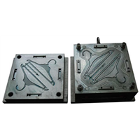 Steel Product Plastic Injection Shaping Mold Hanger Mould