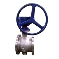 Segment ball valve