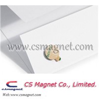 Neo magnet with Adhesive