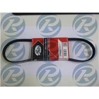 AUDI  V-Ribbed Belt 4PK850