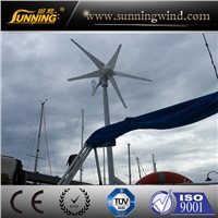 Small Wind Turbine  (MINI 300W)-5 blades