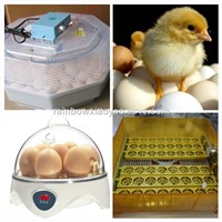 Home Use Family Type Mini Egg Incubator