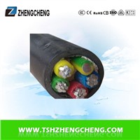 4X16+1X10 0.6/1KV XLPE PE insulated power cable Aluminum