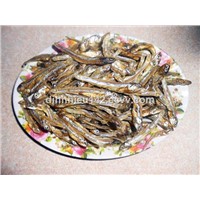 DRIED SMALL ANCHOVY