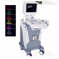 HP-UC310  Full-Digital Trolley Ultrasound Scanner