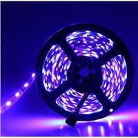super bright 12 volt leds IP65 5m 300SMD RGB 5050 led strip light