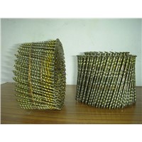 china market screw coil nails