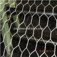 Stainless Steel Hexagonal Wire Mesh/SS Hexagonal Netting