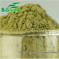Spirulina Peptide Powder - Health Care