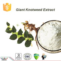 Trans-resveratrol giant knotweed extract