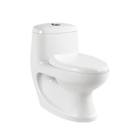 Sanitary Wares Washdown  One  Piece  Closet  Ceramic Toilet