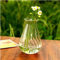 Stripe Transparent Glass Vase