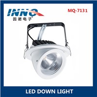 Adjustable LED Downlights