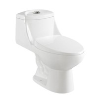 Siphonic  One  Piece Toilet  Water Closet