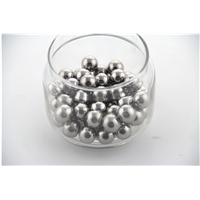 the stainless steel ball
