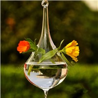 Creative Cone Shaped Glass Terrarium Hanging Glass Vase Wedding Decorative Party Opps China Supplier