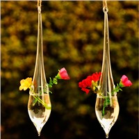 Corn Shaped Glass Terrarium with 2 small holes Hanging Glass Vase Home Decoration Wedding Props