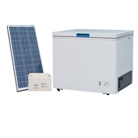 12/24V DC Compressor Solar Mini Freezer