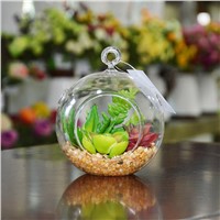 Wholesale Glass Globe Hanging Succulent Plants Terrarium Geometric