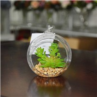 Wholesale Geometric Glass Terrarium Mini Succulent Plant