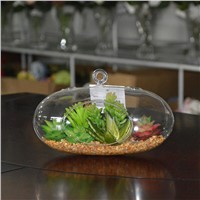 Plastic Succulent Plants Tropical Plants Terrarium Glass