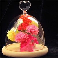 Heart and Star Glass Dome and Wooden Base Set Beautiful Glass Home Decoration