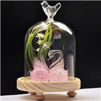 Bird Glass Dome Home Decoration Glass Dome with Wooden Base Friend Gift
