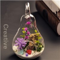 Pear Shaped Glass Terrarium with One Open Fashion Home Decoration Glass Vase