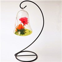 Bell Shaped Glass Terrarium Vase and Metal Stand Set Home Decorative Friend Gift