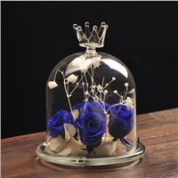 Crown Glass Dome Home Decoration Lamp Blown Handmade Glass Friend Gift
