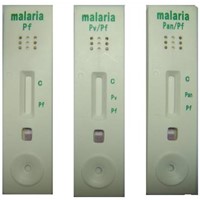 rapid Malaria test kit