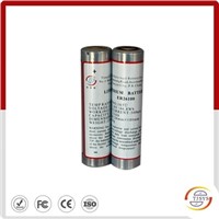 High temperature lithium battery CC size ER26100