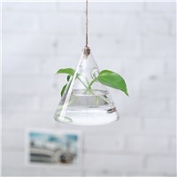 Geometric Drawing Shaped Glass Terrarium with 2 small holes Home Decorative Hanging Vase
