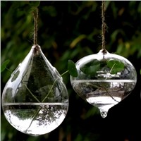 Geometric Drawing Shaped Glass Terrarium with 2 small holes Home Decoration Hanging Glass Vase