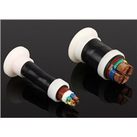 Aerial Insulated Cables with Rated Voltage of 1kv
